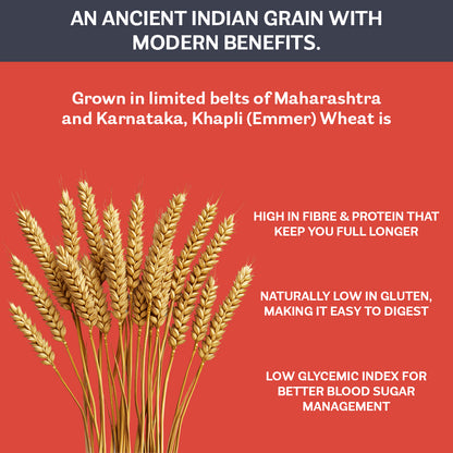 Emmer Wheat Penne Pasta Single Pack